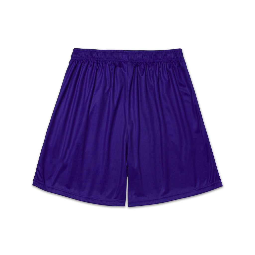 Women's Mesh Purple Shorts