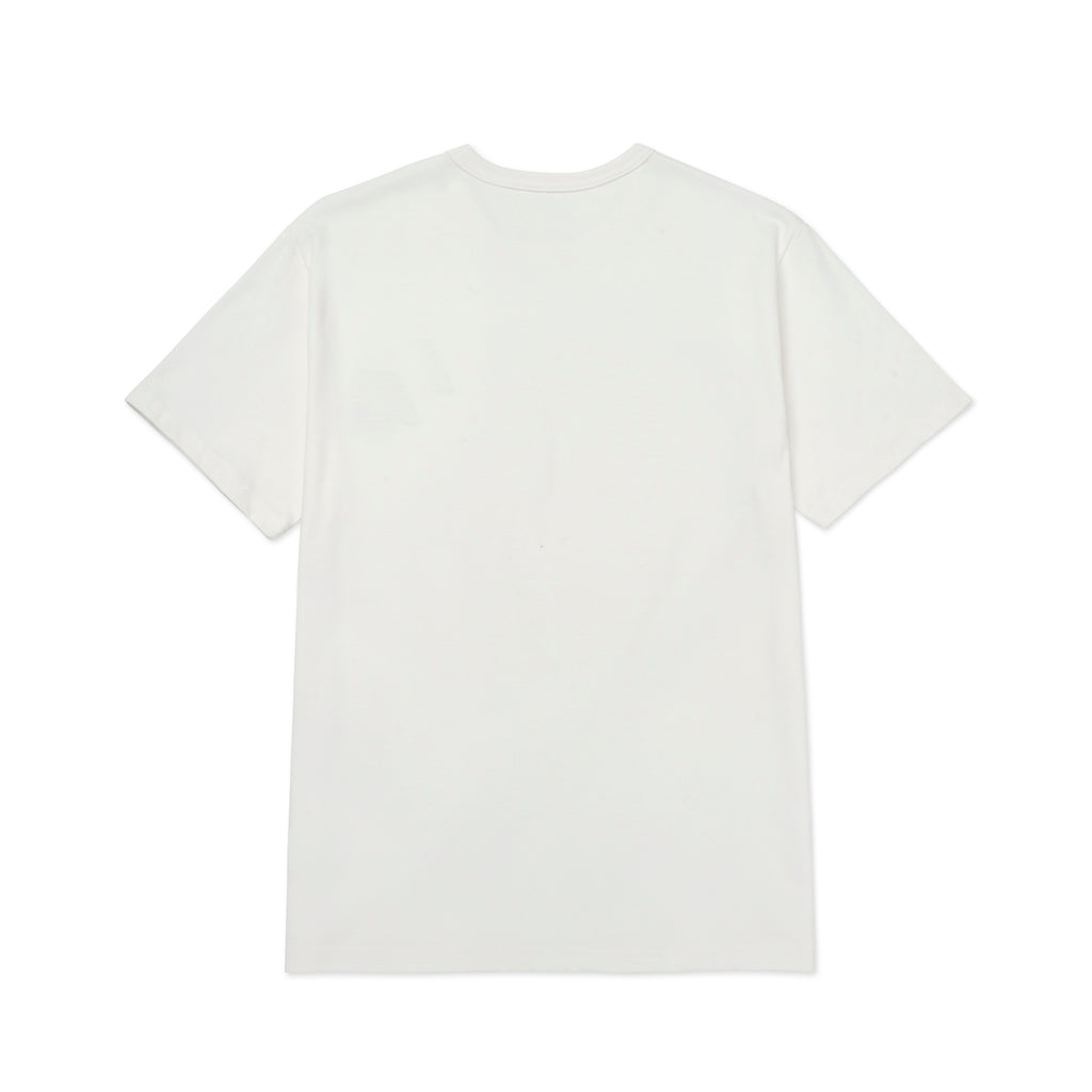A&P FUNDAMENTAL STACK WHITE