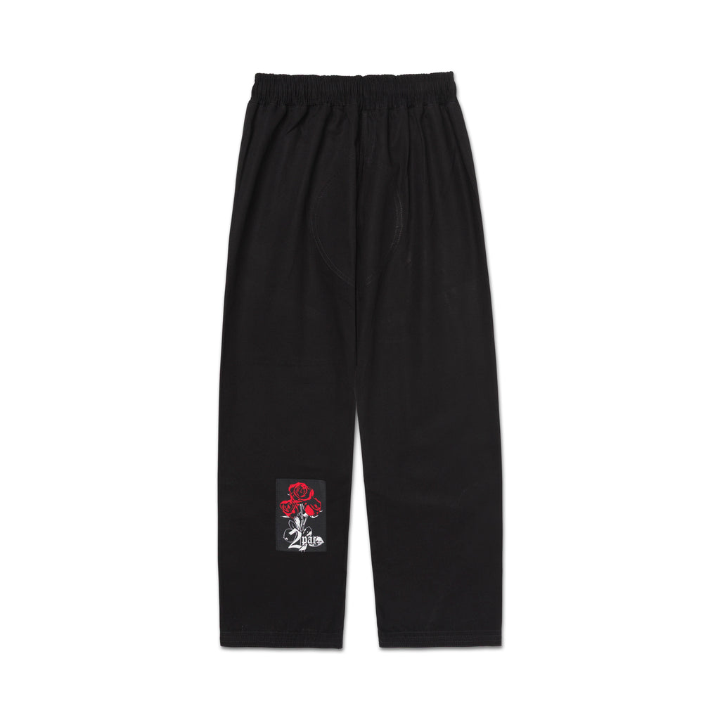 A&P x TUPAC ROSE GI