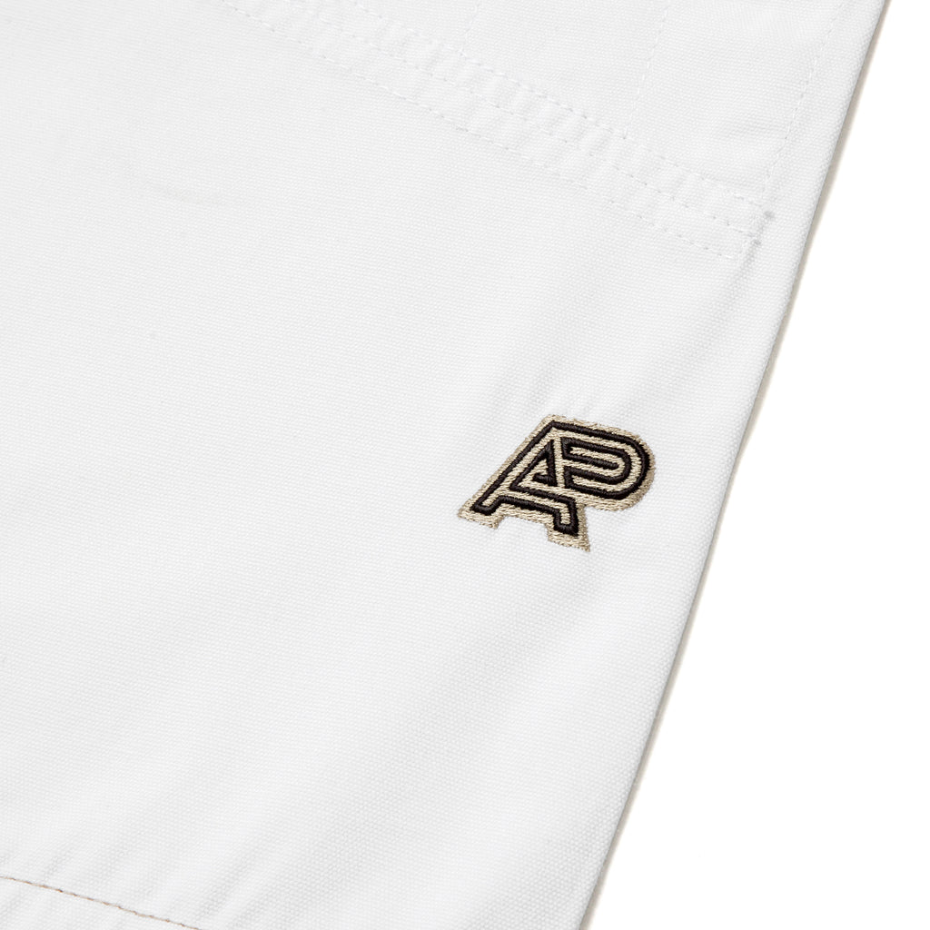 A&P B105 COLLAGE GI